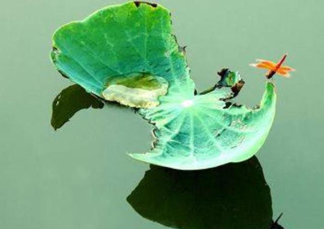 做人要懂得：這些人事，錯過一時，就錯過一世