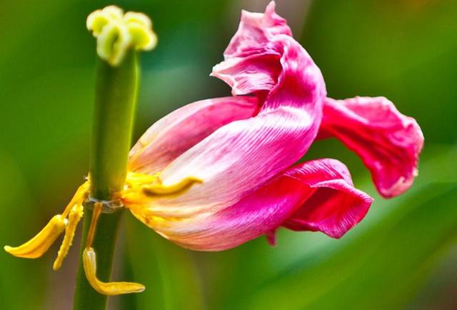 做人要懂得：這些人事，錯過一時，就錯過一世