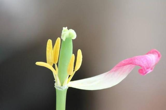 做人要懂得：這些人事，錯過一時，就錯過一世