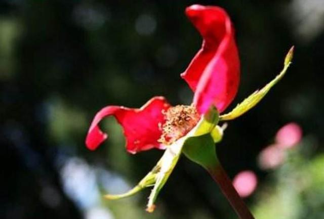 做人要懂得：這些人事，錯過一時，就錯過一世