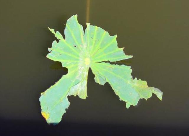 做人要懂得：這些人事，錯過一時，就錯過一世