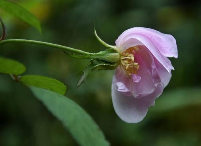 做人要懂得：這些人事，錯過一時，就錯過一世