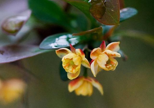 落魄的時候，你最要感恩的，是沒有倒下去的你自己