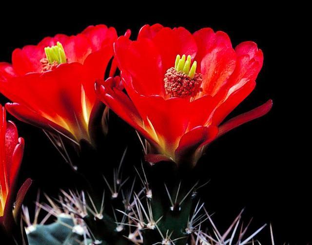 落魄的時候，你最要感恩的，是沒有倒下去的你自己