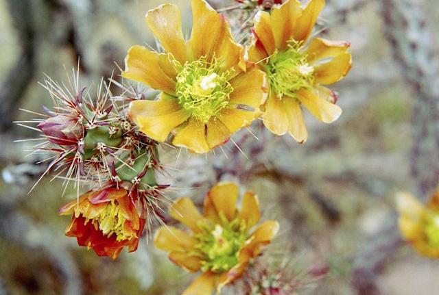 落魄的時候，你最要感恩的，是沒有倒下去的你自己
