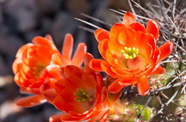 落魄的時候，你最要感恩的，是沒有倒下去的你自己