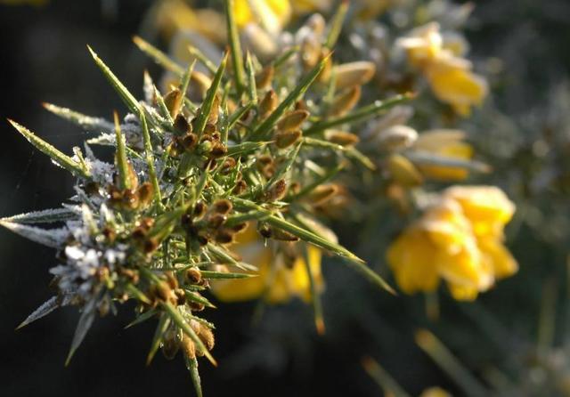 落魄的時候，你最要感恩的，是沒有倒下去的你自己