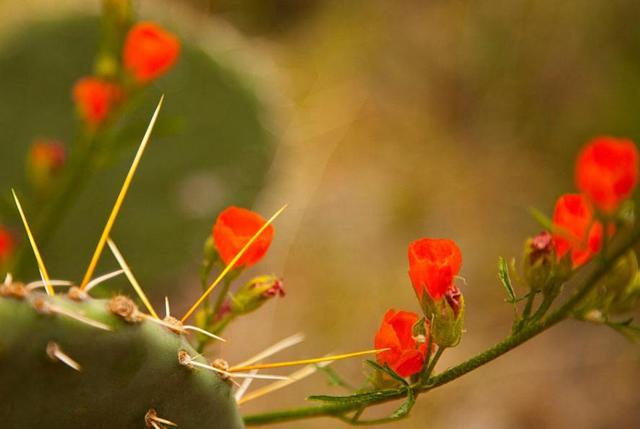 落魄的時候，你最要感恩的，是沒有倒下去的你自己