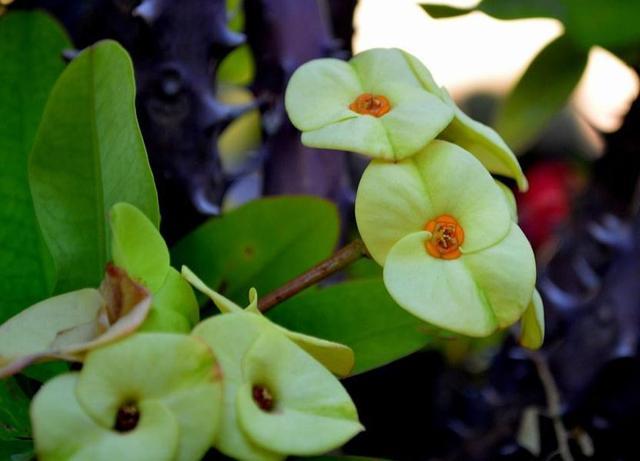 落魄的時候，你最要感恩的，是沒有倒下去的你自己