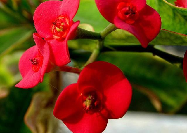 落魄的時候，你最要感恩的，是沒有倒下去的你自己