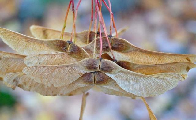 在一個人獨行的日子裡，我明白了這三個“硬”道理