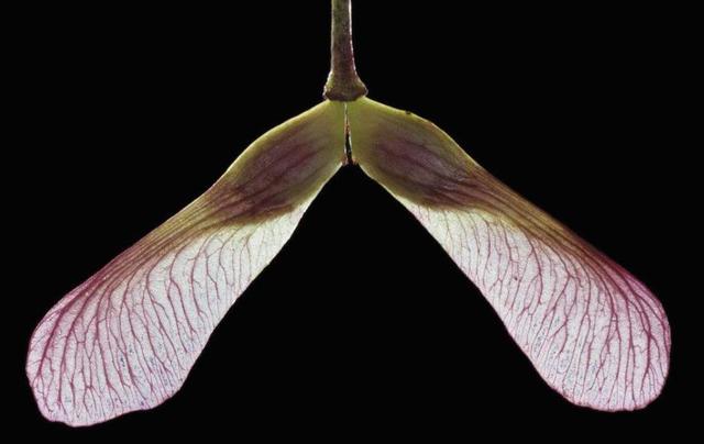 在一個人獨行的日子裡，我明白了這三個“硬”道理