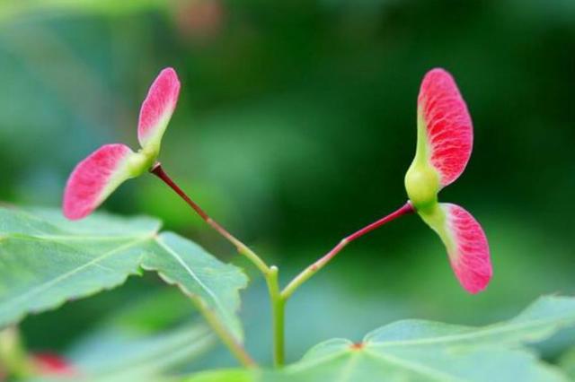 在一個人獨行的日子裡，我明白了這三個“硬”道理