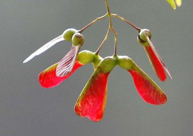 在一個人獨行的日子裡，我明白了這三個“硬”道理