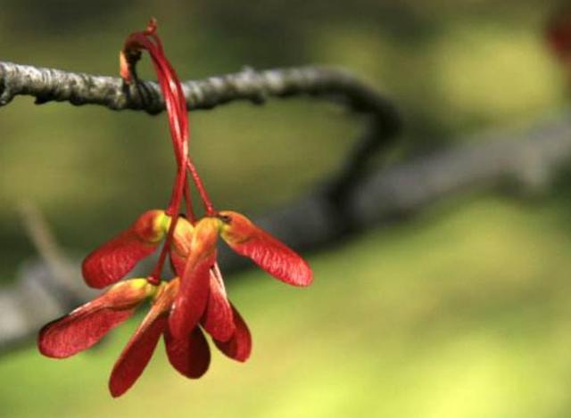 在一個人獨行的日子裡，我明白了這三個“硬”道理