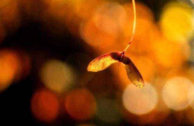 在一個人獨行的日子裡，我明白了這三個“硬”道理