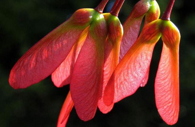 在一個人獨行的日子裡，我明白了這三個“硬”道理