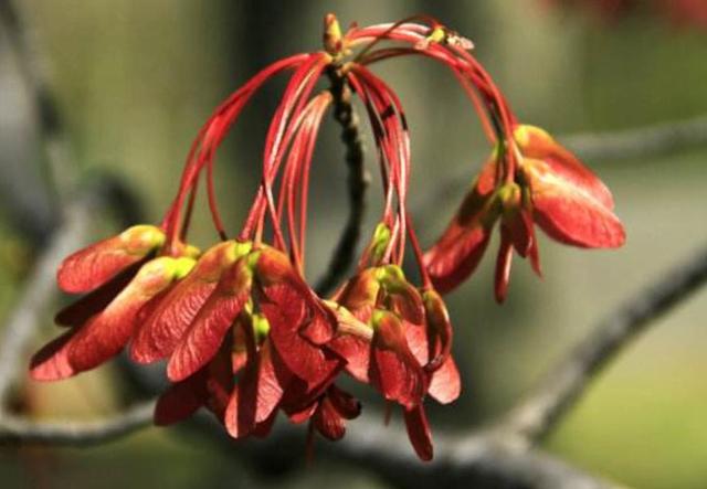 在一個人獨行的日子裡，我明白了這三個“硬”道理