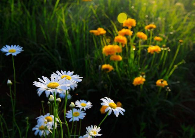 你對我不好了，我也會對你冷淡的（句句剜心）