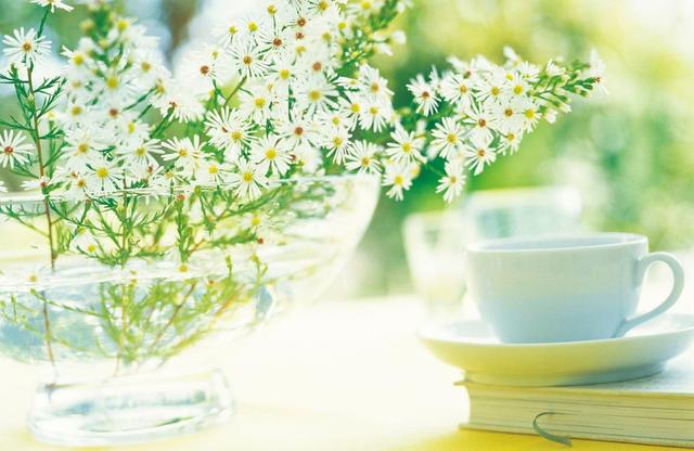 你對我不好了，我也會對你冷淡的（句句剜心）