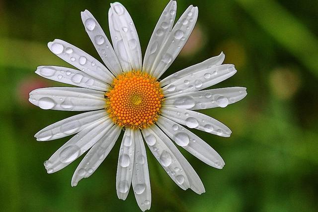 你對我不好了,我也會對你冷淡的(句句剜心)