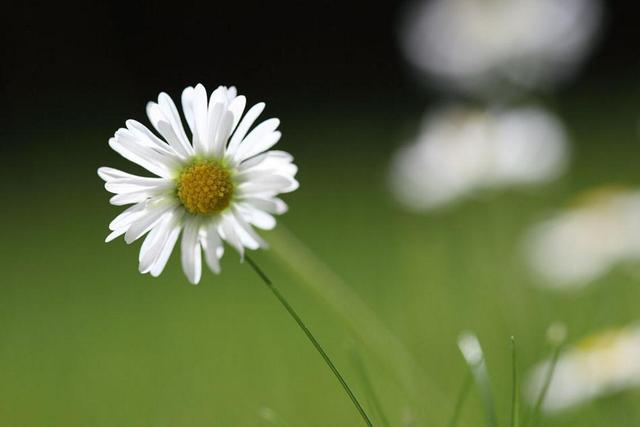 你對我不好了，我也會對你冷淡的（句句剜心）