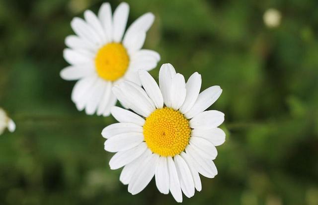 你對我不好了，我也會對你冷淡的（句句剜心）