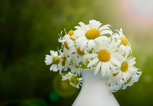 你對我不好了，我也會對你冷淡的（句句剜心）