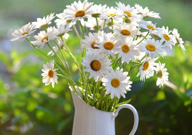 你對我不好了，我也會對你冷淡的（句句剜心）