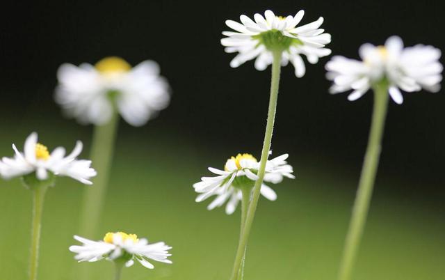 你對我不好了，我也會對你冷淡的（句句剜心）