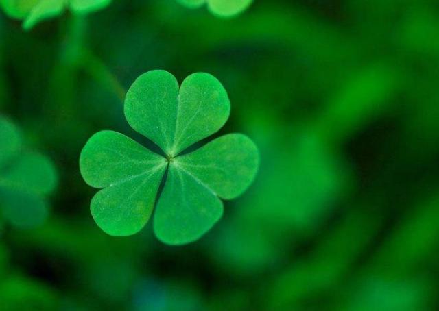 你願意讓自己平凡過一生嗎？ 我問了十個人，答案竟出奇一致