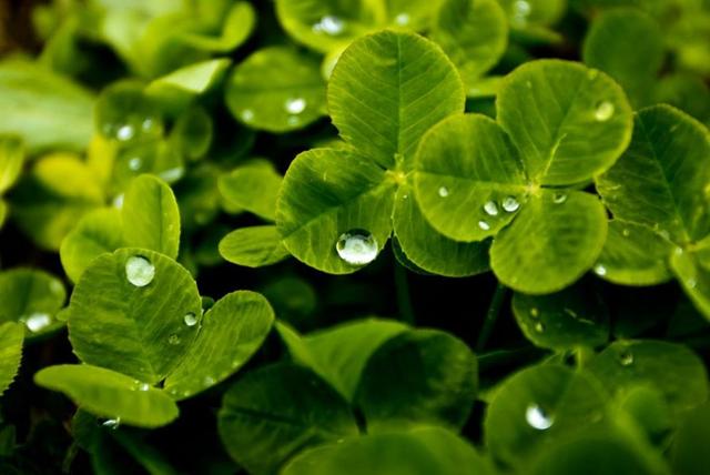 你願意讓自己平凡過一生嗎？ 我問了十個人，答案竟出奇一致