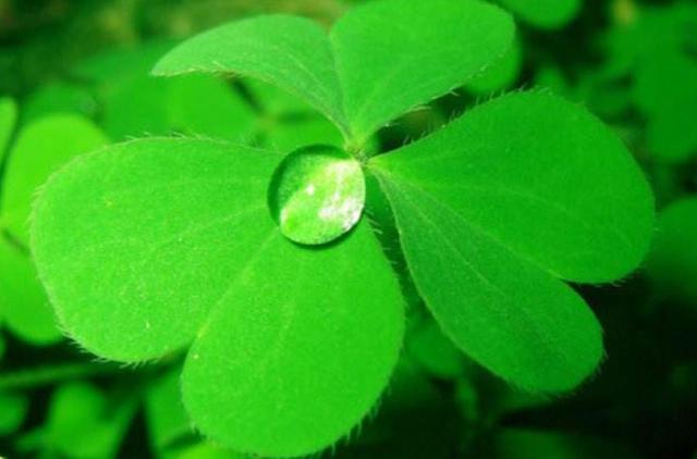 你願意讓自己平凡過一生嗎？ 我問了十個人，答案竟出奇一致