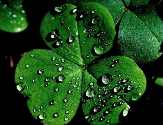 你願意讓自己平凡過一生嗎？ 我問了十個人，答案竟出奇一致