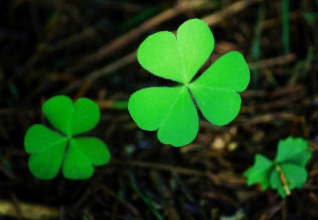 你願意讓自己平凡過一生嗎？ 我問了十個人，答案竟出奇一致