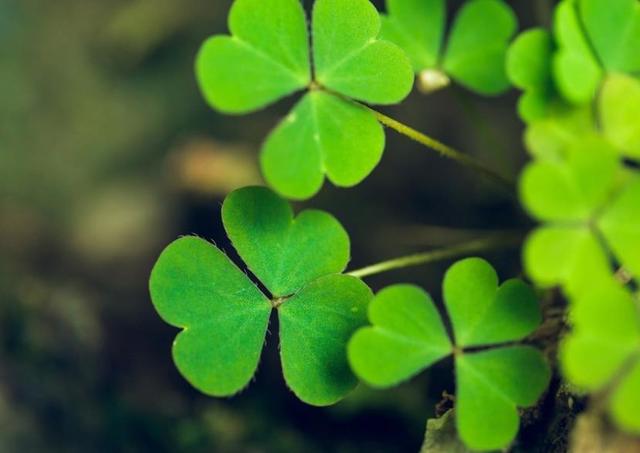 你願意讓自己平凡過一生嗎？ 我問了十個人，答案竟出奇一致