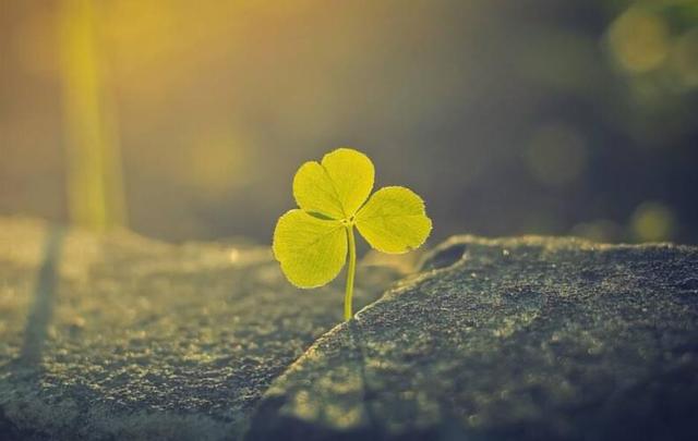 你願意讓自己平凡過一生嗎？ 我問了十個人，答案竟出奇一致