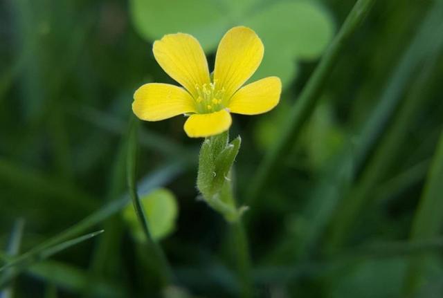 你願意讓自己平凡過一生嗎？ 我問了十個人，答案竟出奇一致