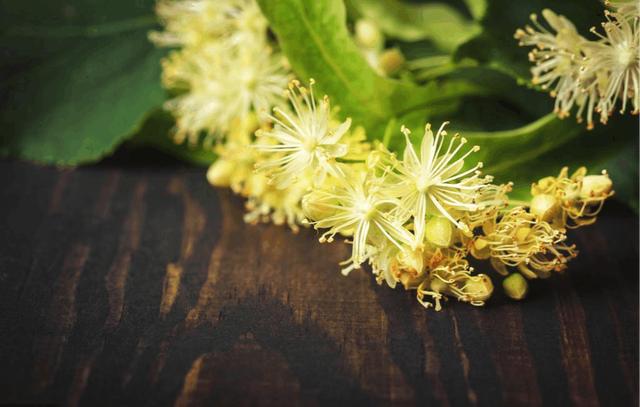 素心雲淡，與光陰對白