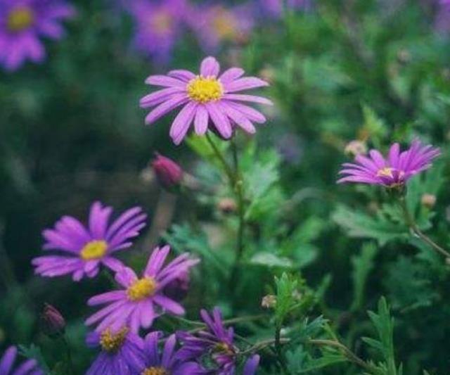 真正強大的人，都懂得隱藏自己的這幾個秘密