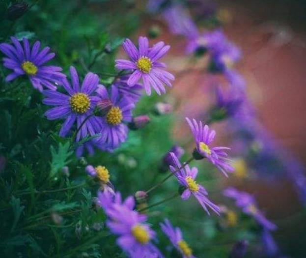 真正強大的人，都懂得隱藏自己的這幾個秘密