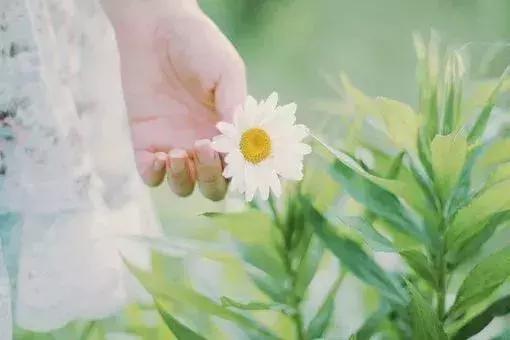 五種心態，活得才不累！