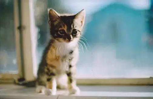 五種心態，活得才不累！