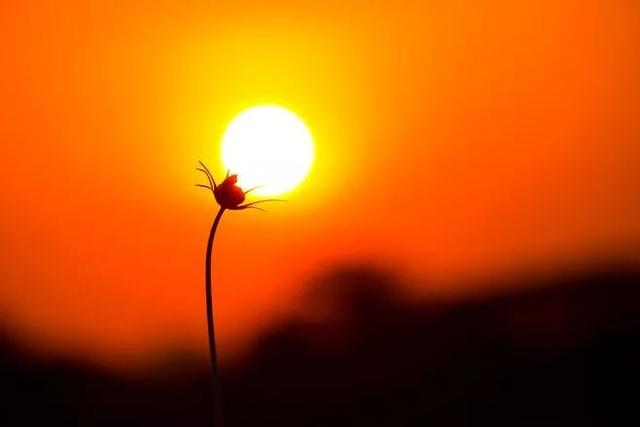 在時間中平靜，在歲月裡老去