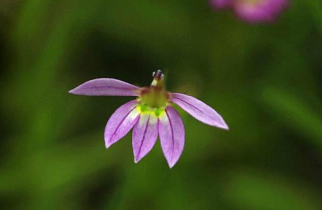 做一個“狡猾”的老實人,很有必要