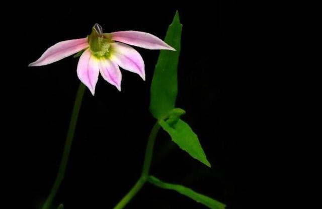 做一個“狡猾”的老實人，很有必要