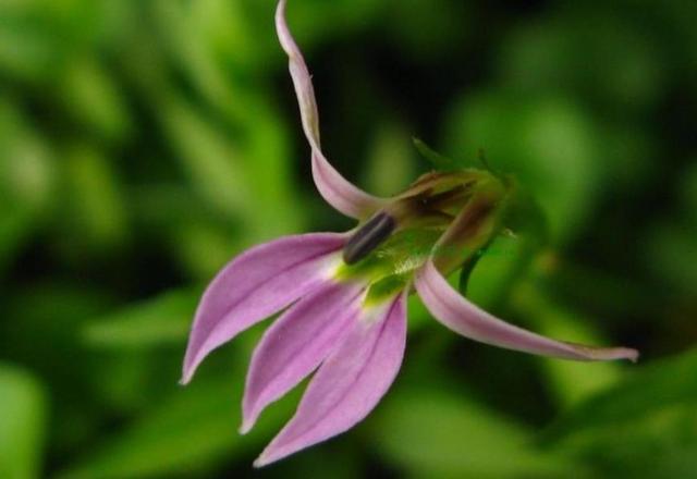 做一個“狡猾”的老實人，很有必要