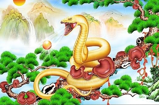 家有這3大聚財生肖，財運不流外人田，2019年就家道富貴！