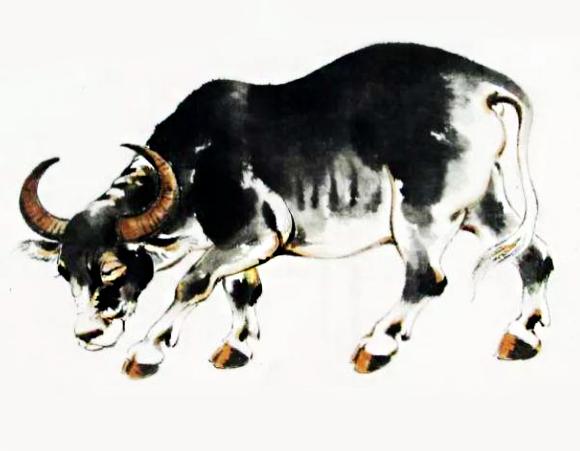 這3屬相的丈夫，有責任還重感情，他負責賺錢，妻負責享福！