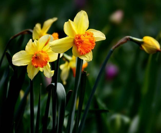 真正有故事的人，往往是一個很有味道的人